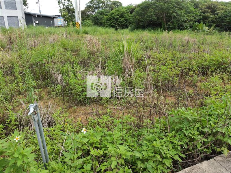 龍潭文化路旁小坪數都內農房屋室內格局與周邊環境