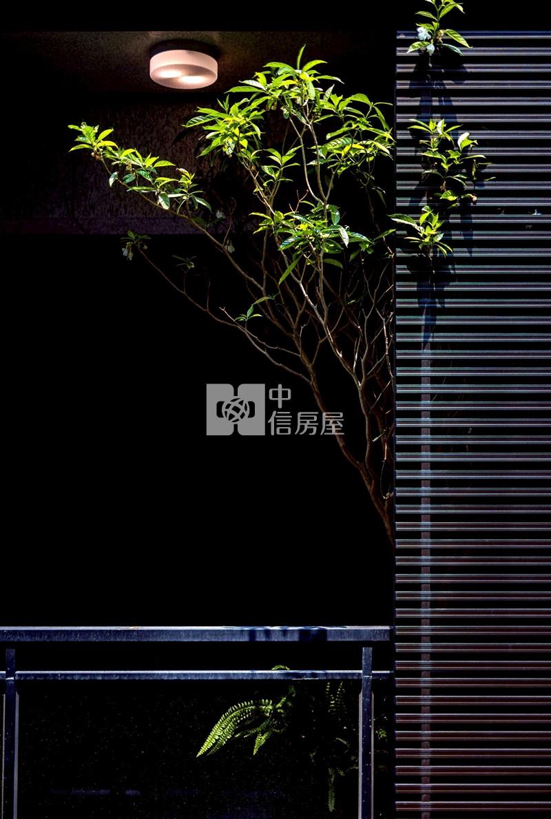 塵世居所永世傳家(專)房屋室內格局與周邊環境
