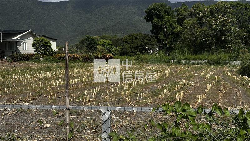 台11線足坪美農地房屋室內格局與周邊環境