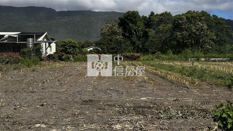 台11線足坪美農地房屋室內格局與周邊環境