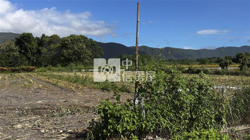 台11線足坪美農地房屋室內格局與周邊環境
