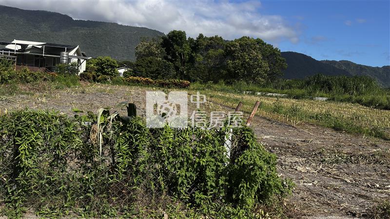 台11線足坪美農地房屋室內格局與周邊環境