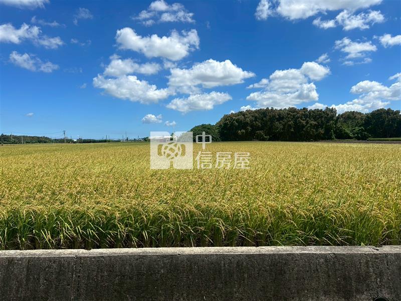 麥寮圳寮段農地房屋室內格局與周邊環境