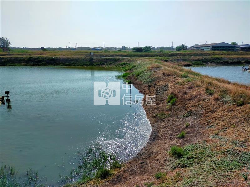 七股工業城旁.大面積漁塭地房屋室內格局與周邊環境