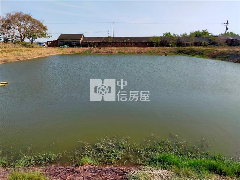 七股工業城旁.大面積漁塭地房屋室內格局與周邊環境