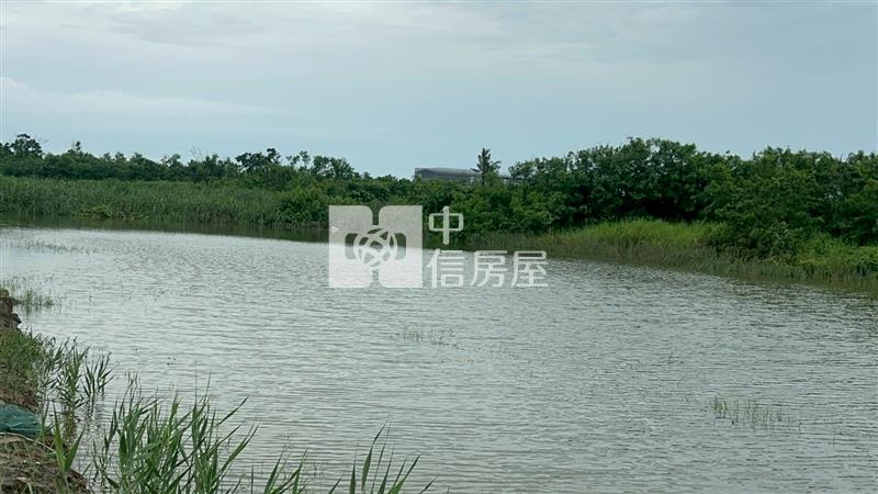 七股工業城旁.大面積漁塭地房屋室內格局與周邊環境