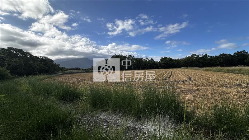 (專)最便宜的志學都內農地房屋室內格局與周邊環境