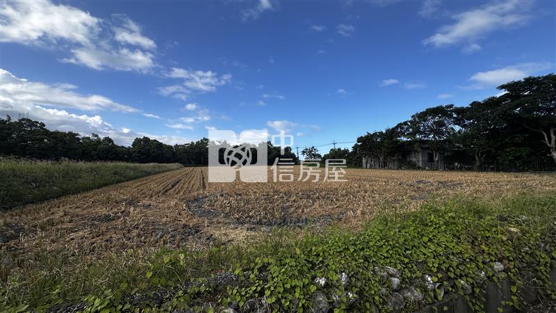(專)最便宜的志學都內農地房屋室內格局與周邊環境