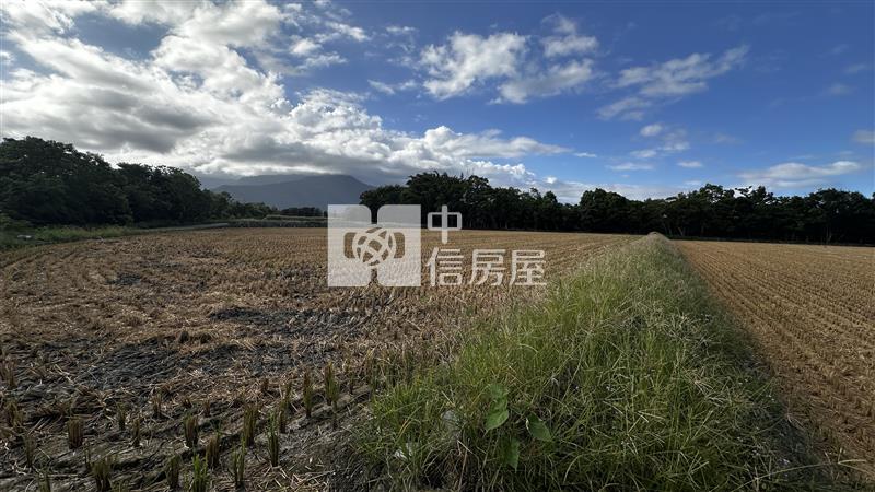 (專)最便宜的志學都內農地房屋室內格局與周邊環境