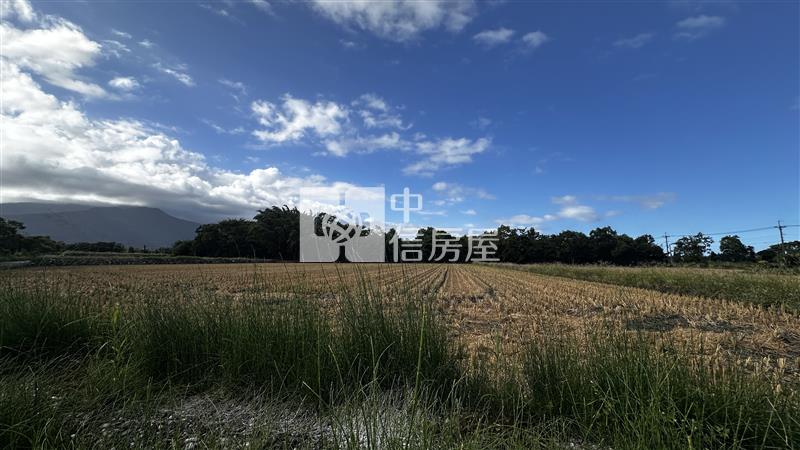 (專)最便宜的志學都內農地房屋室內格局與周邊環境