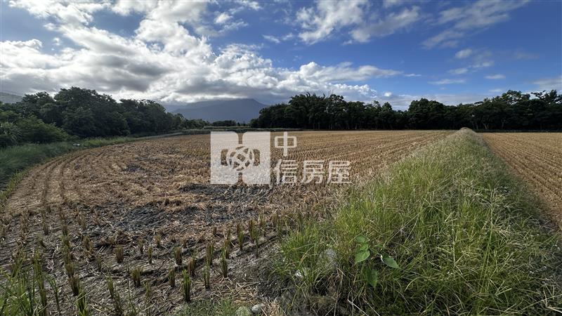 (專)最便宜的志學都內農地房屋室內格局與周邊環境