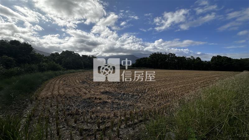 (專)最便宜的志學都內農地房屋室內格局與周邊環境