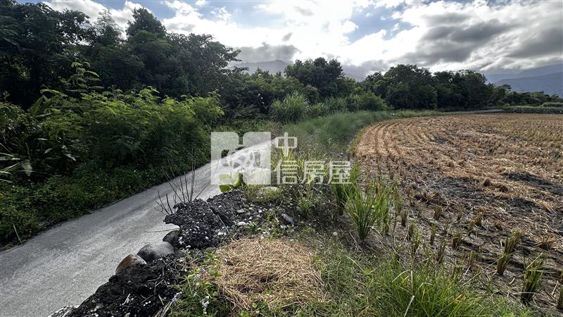 (專)最便宜的志學都內農地房屋室內格局與周邊環境