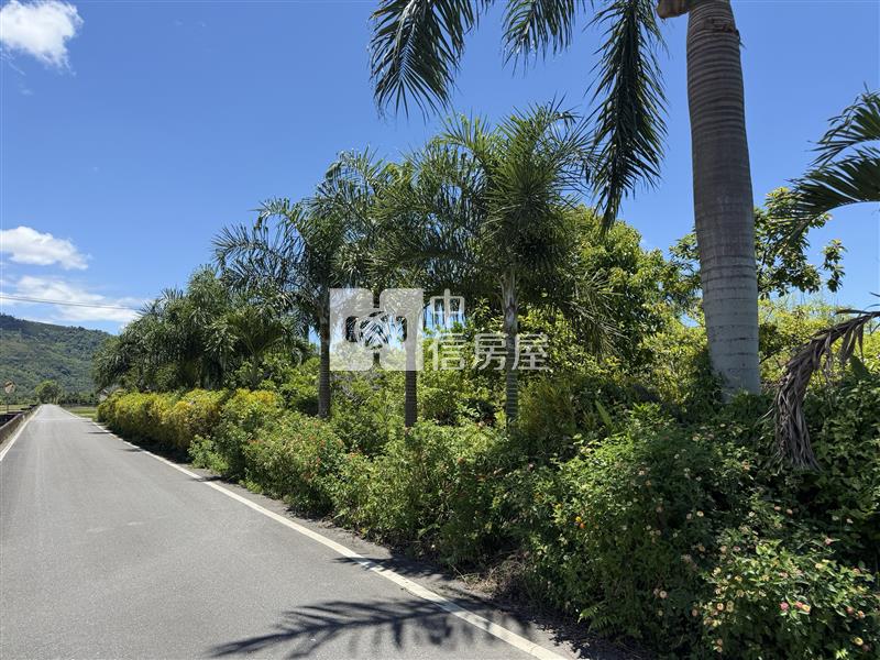 專售-鳳林中長路足坪兩面路美農地房屋室內格局與周邊環境