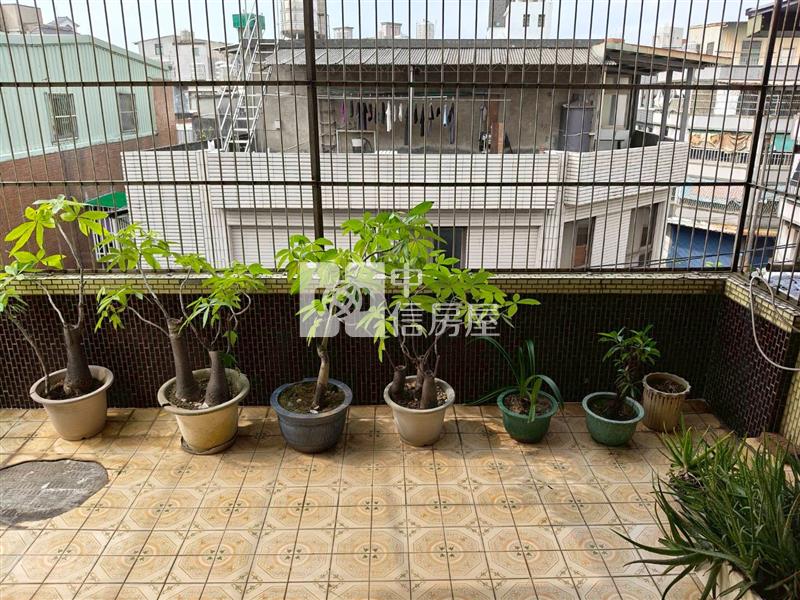 近復旦國小超值透天房屋室內格局與周邊環境