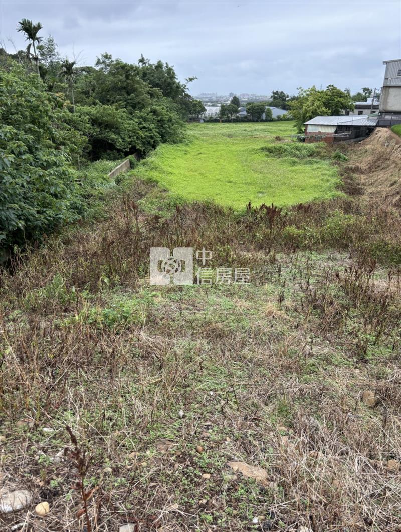 楊梅雙面臨路便宜農地房屋室內格局與周邊環境