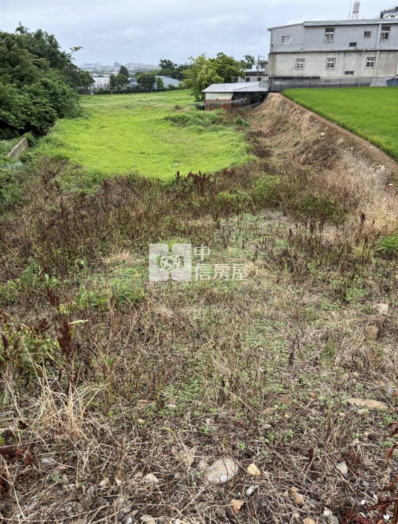 楊梅雙面臨路便宜農地房屋室內格局與周邊環境