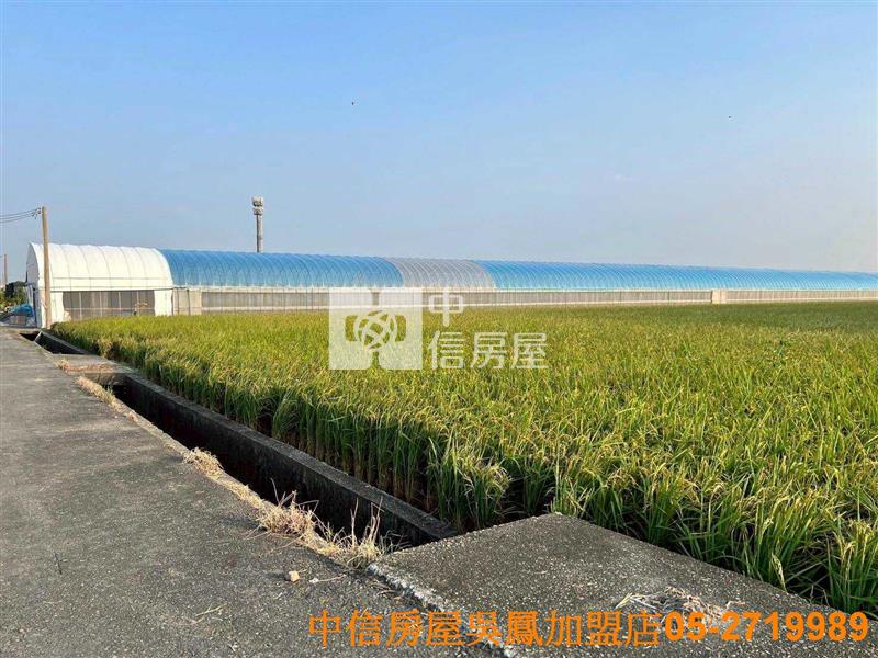 太保高鐵方正美農地房屋室內格局與周邊環境
