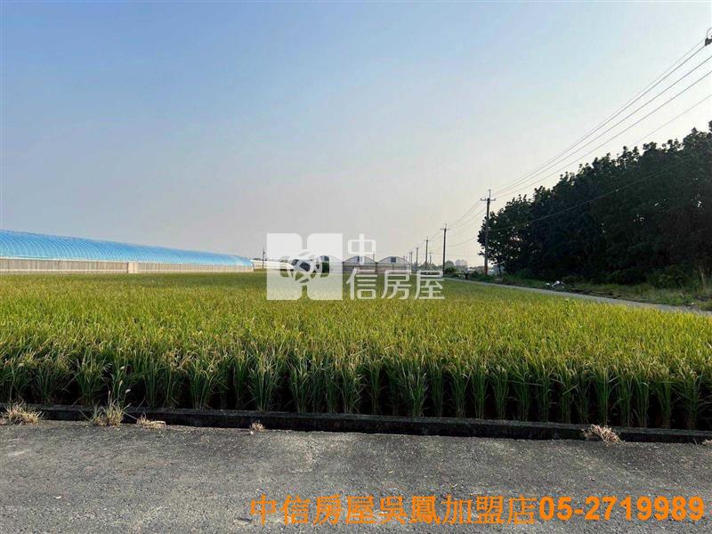 太保高鐵方正美農地房屋室內格局與周邊環境
