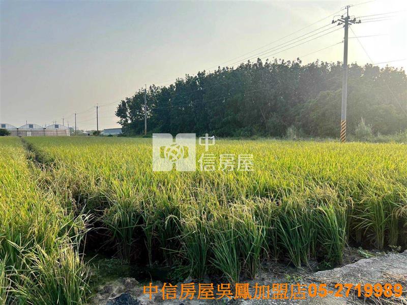 太保高鐵方正美農地房屋室內格局與周邊環境