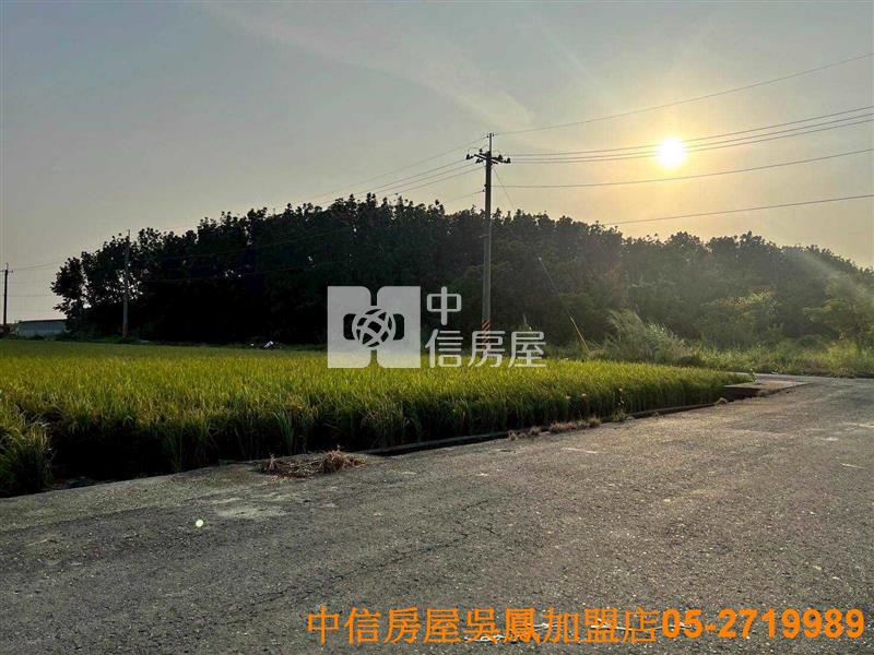 太保高鐵方正美農地房屋室內格局與周邊環境