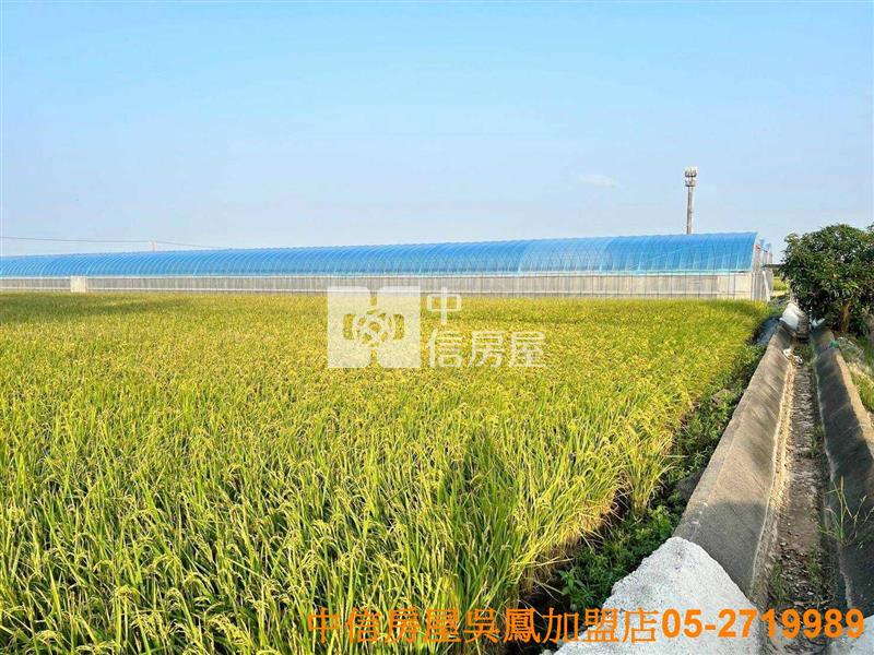 太保高鐵方正美農地房屋室內格局與周邊環境