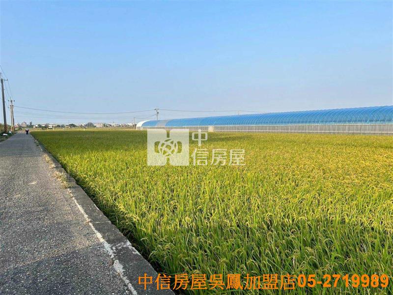 太保高鐵方正美農地房屋室內格局與周邊環境
