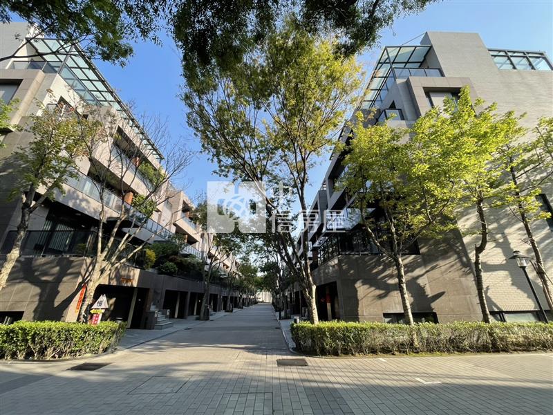 絕版獨立森林邊間電梯豪墅房屋室內格局與周邊環境