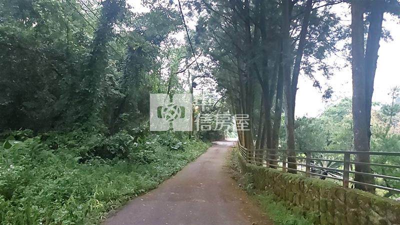 大坑美農地房屋室內格局與周邊環境