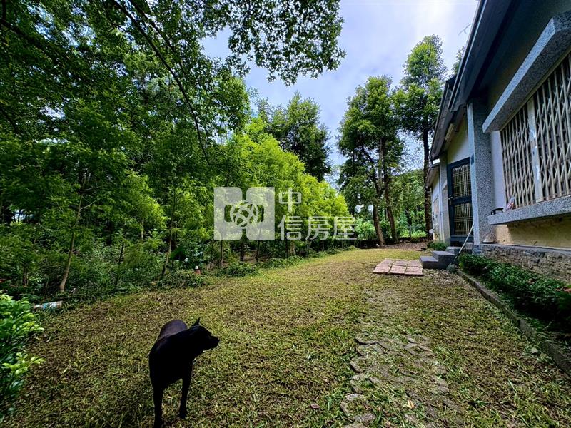 專任小埔楓香小農舍房屋室內格局與周邊環境