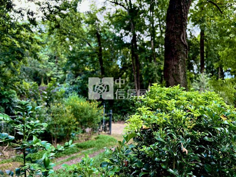 專任小埔楓香小農舍房屋室內格局與周邊環境