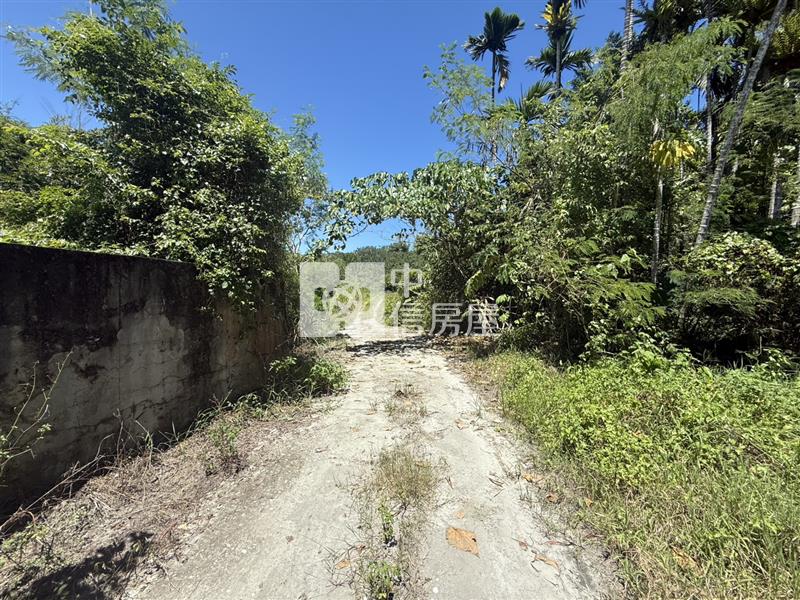 光復阿托莫有水有電 山坡地保育地農牧用地房屋室內格局與周邊環境