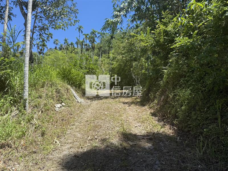 光復阿托莫有水有電 山坡地保育地農牧用地房屋室內格局與周邊環境
