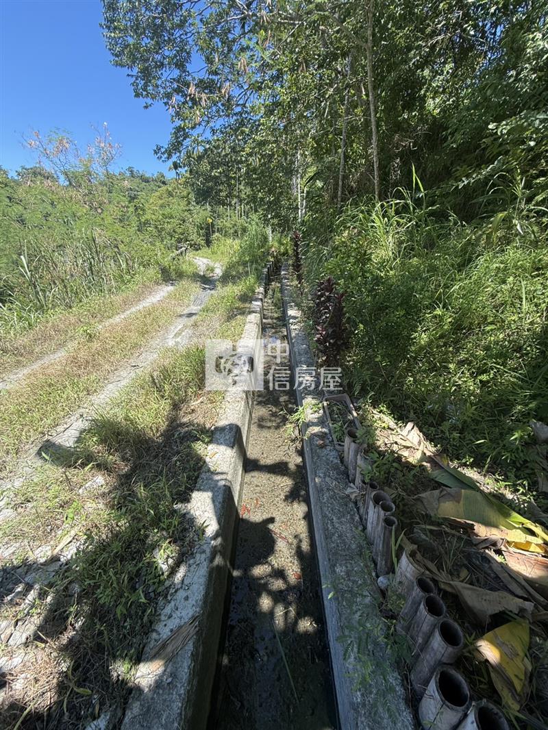 光復阿托莫有水有電 山坡地保育地農牧用地房屋室內格局與周邊環境