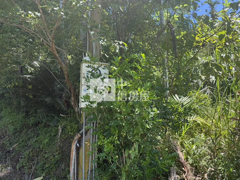 光復阿托莫有水有電 山坡地保育地農牧用地房屋室內格局與周邊環境