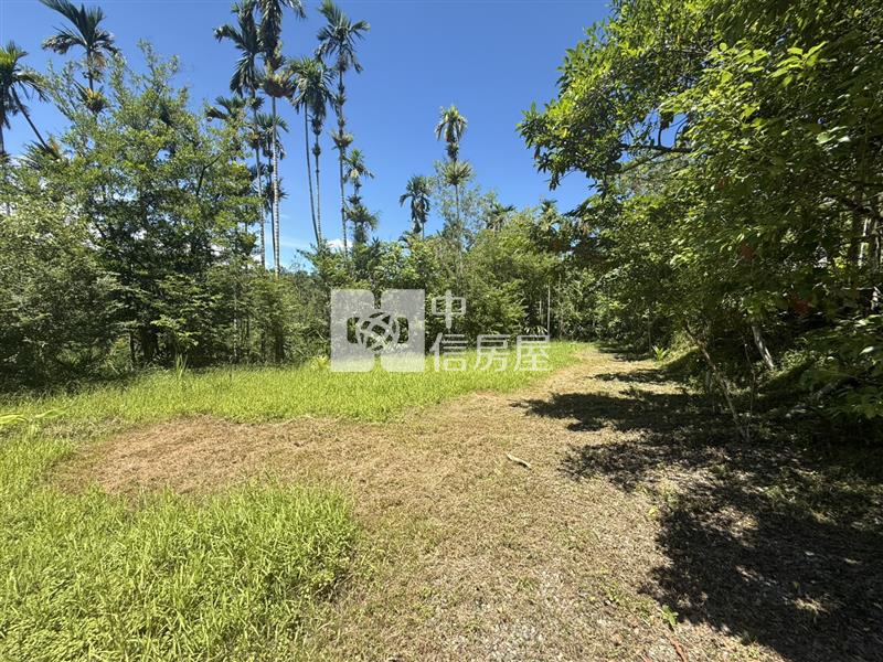 光復阿托莫有水有電 山坡地保育地農牧用地房屋室內格局與周邊環境