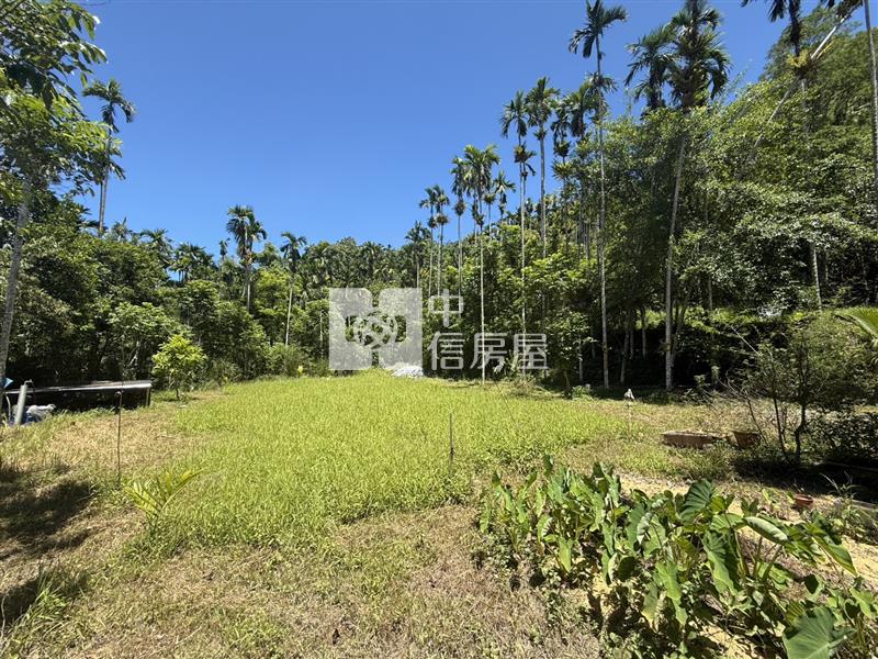 光復阿托莫有水有電 山坡地保育地農牧用地房屋室內格局與周邊環境