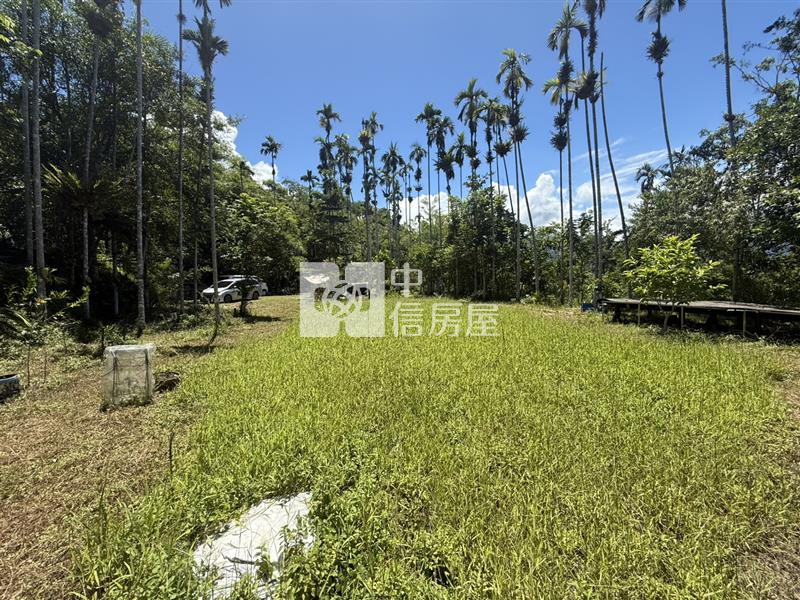 光復阿托莫有水有電 山坡地保育地農牧用地房屋室內格局與周邊環境