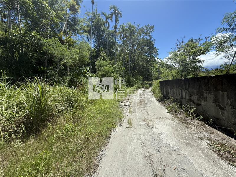 光復阿托莫有水有電 山坡地保育地農牧用地房屋室內格局與周邊環境