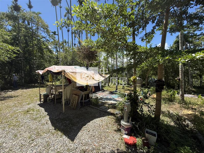 光復阿托莫有水有電 山坡地保育地農牧用地房屋室內格局與周邊環境