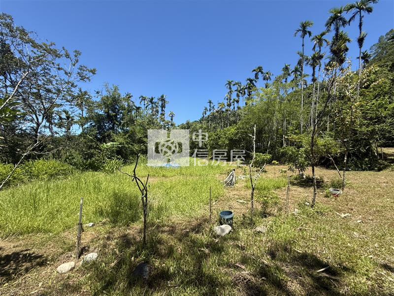 光復阿托莫有水有電 山坡地保育地農牧用地房屋室內格局與周邊環境