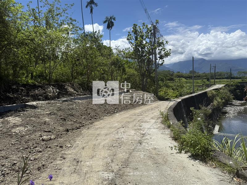 光復阿托莫有水有電 山坡地保育地農牧用地房屋室內格局與周邊環境