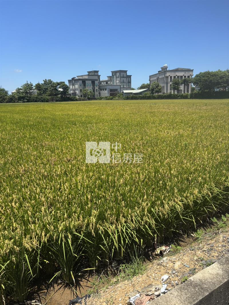 社子國小美田房屋室內格局與周邊環境