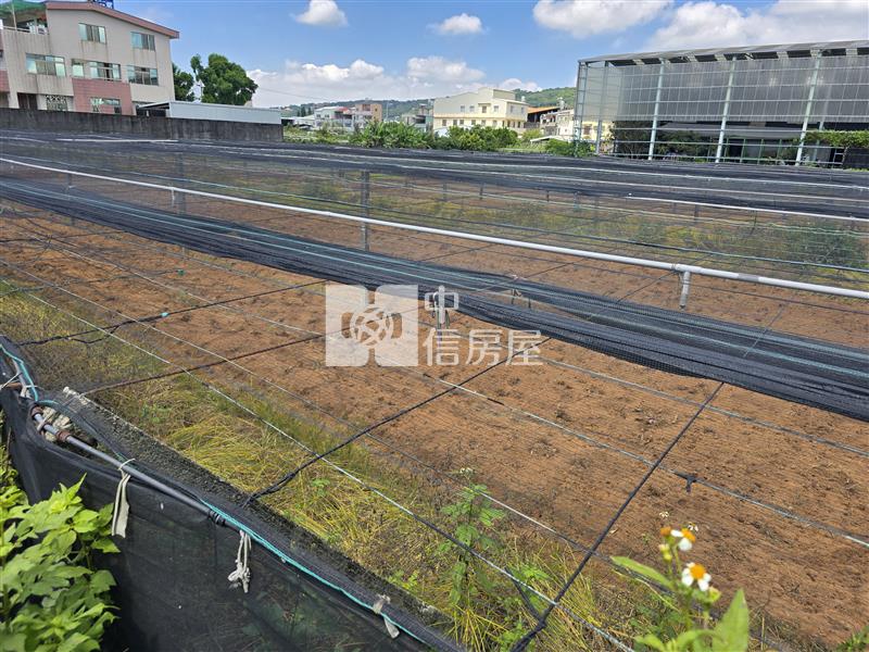 新社大南國小平坦農地房屋室內格局與周邊環境