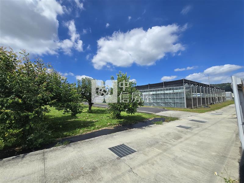 新社大南國小平坦農地房屋室內格局與周邊環境