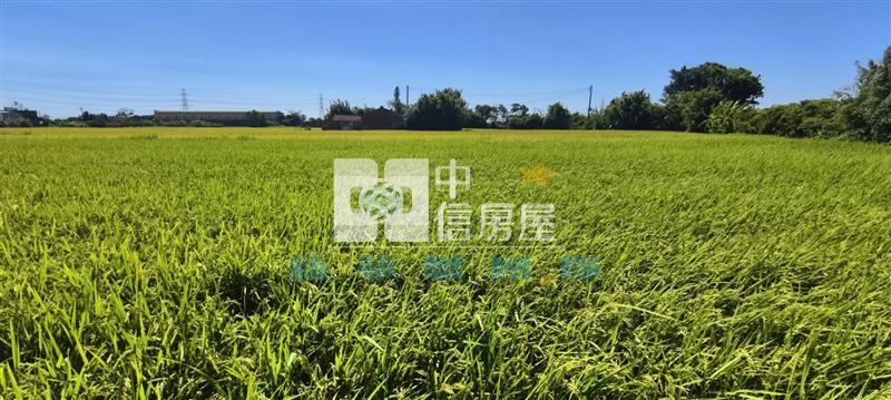 【新夢想】鄰近農業博覽會美田房屋室內格局與周邊環境