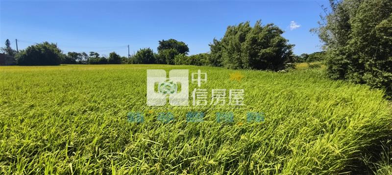 【新夢想】鄰近農業博覽會美田房屋室內格局與周邊環境