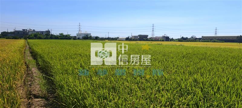 【新夢想】鄰近農業博覽會美田房屋室內格局與周邊環境