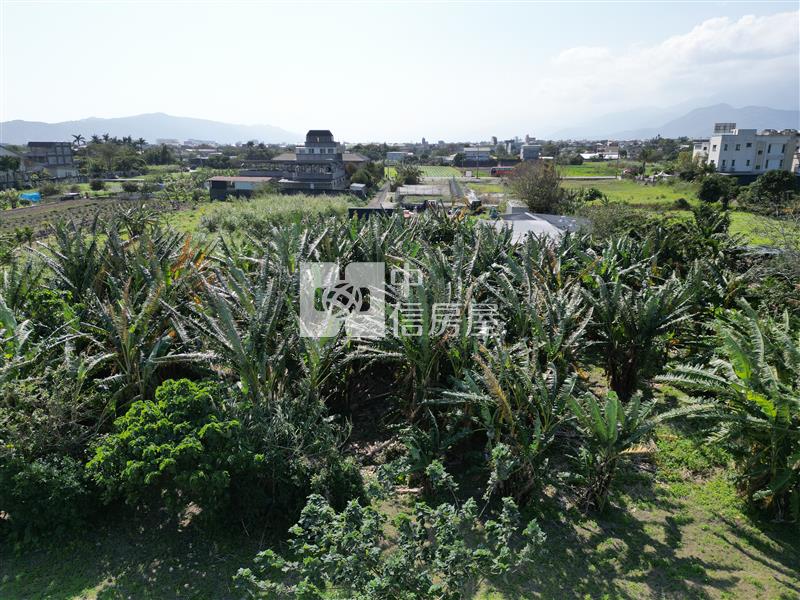 吉安東昌化仁養護中心後都內小筆農地房屋室內格局與周邊環境