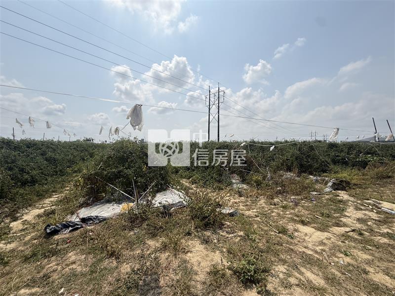 大社稀有合法農產品包裝室房屋室內格局與周邊環境